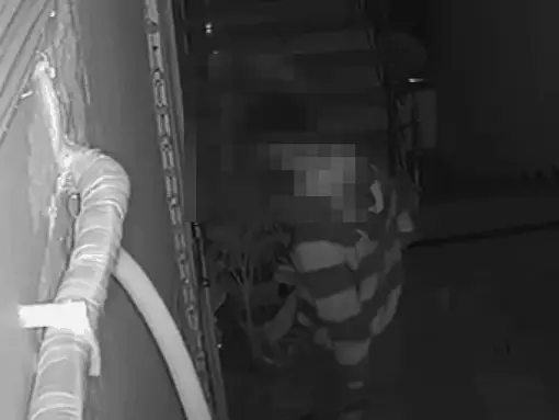 Front door camera stream